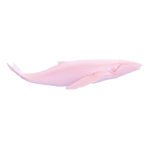 Salmon Pink (Humpback)