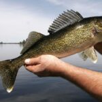 Walleye fishing tips