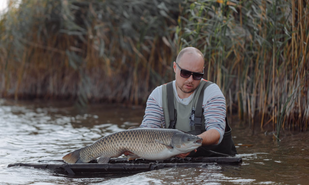 Pressured Summer Bass