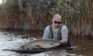 Pressured Summer Bass