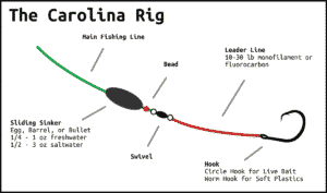 Carolina Rig