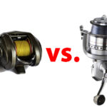 Baitcaster vs. Spinning Reel