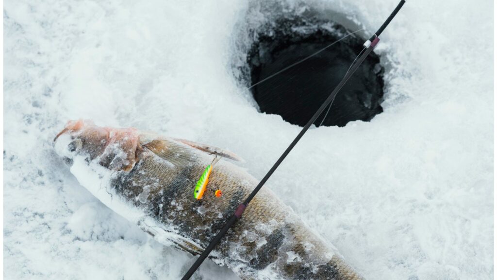 Ice Fishing Rod on snow with hole