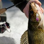 walleye ice fishing tips