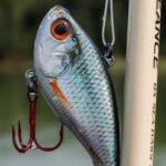 lipless crankbait fishing lure