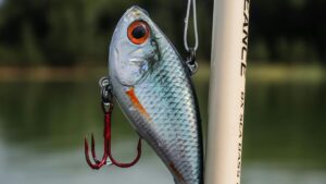 lipless crankbait fishing lure