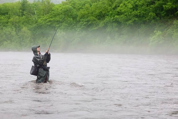giant trout fishing in rain