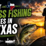 Texas Bass Lakes
