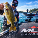 MLF Canada